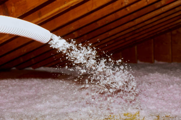 Best Eco-Friendly Insulation in Audubon, IA