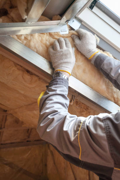 Best Spray Foam Insulation in Audubon, IA