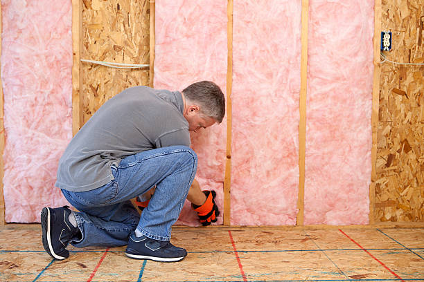 Best Specialized Insulation Services in Audubon, IA