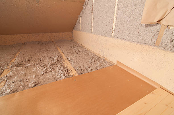 Best Geographic-Specific Insulation Services in Audubon, IA