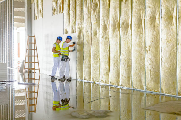 Best DIY Insulation Kits and Guidance in Audubon, IA